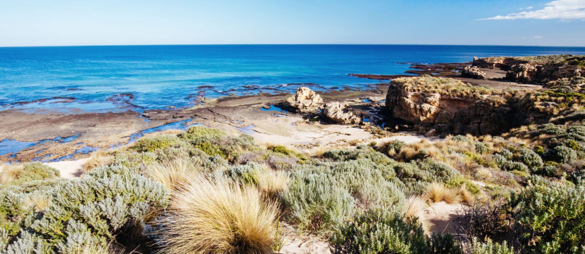 Mumford's Beach. Blairgowrie
