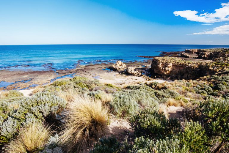 Mumford's Beach. Blairgowrie