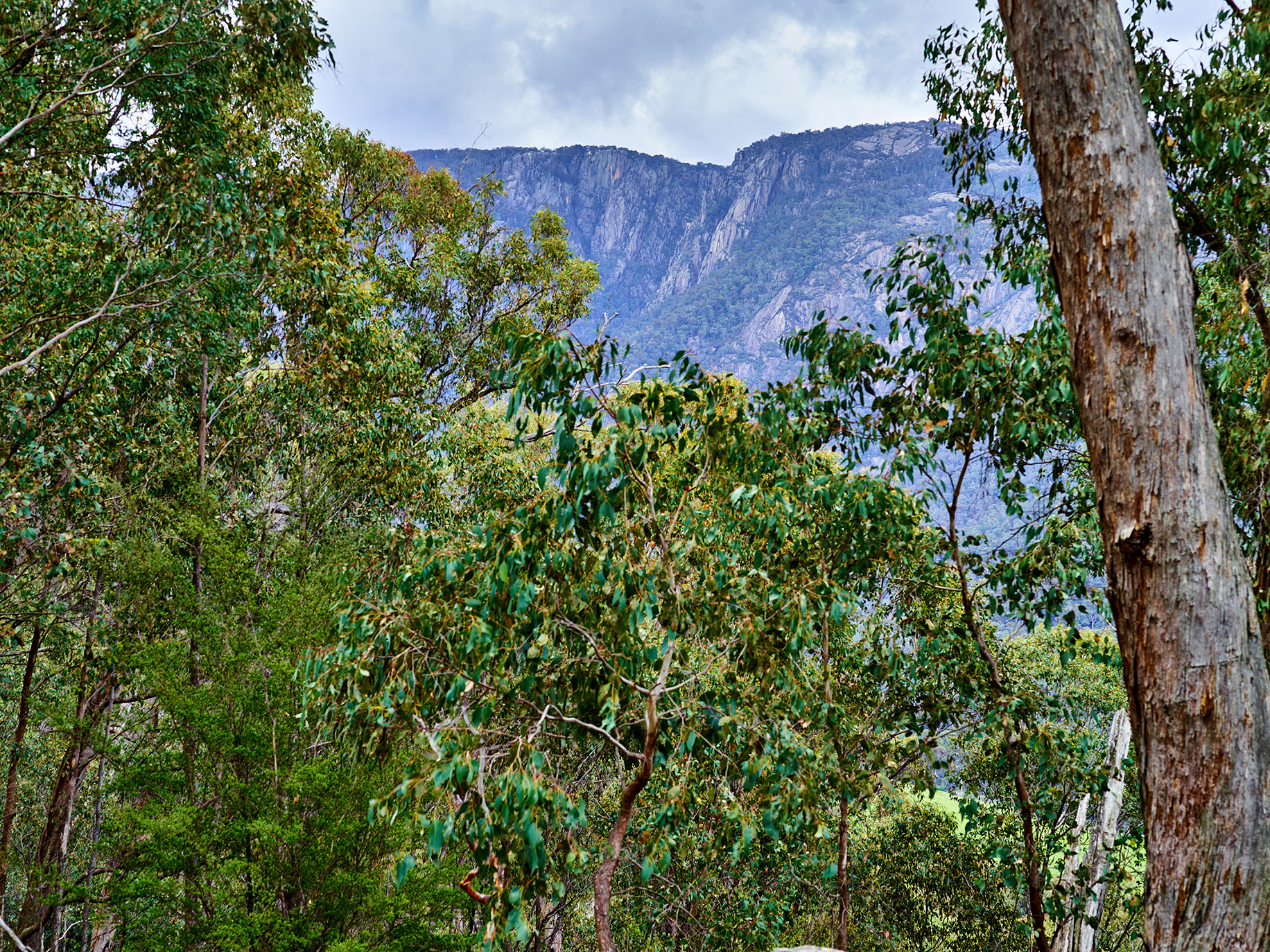 Mount Buffalo's The Gorge faces the property