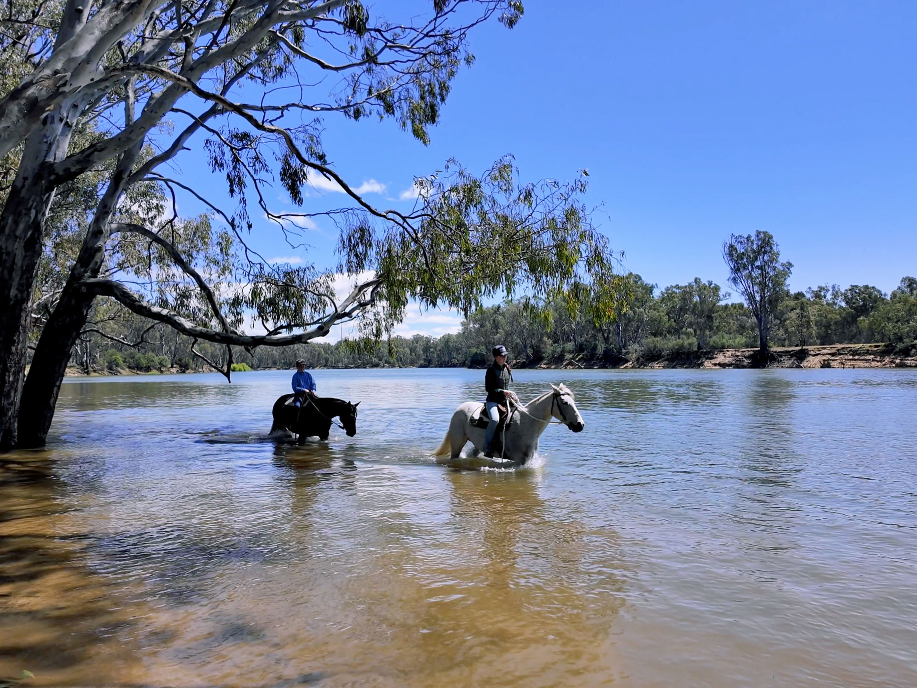 Horseriding in the Murray River